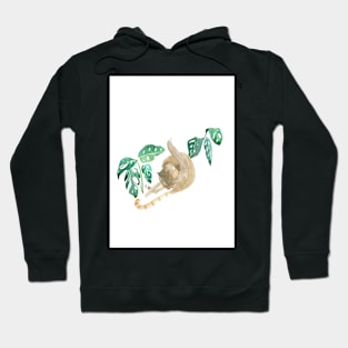 Cat and plants Hoodie